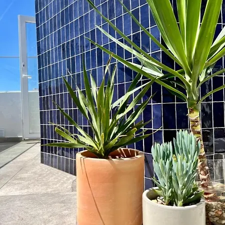 Apartamento Terraco Do Arade *
